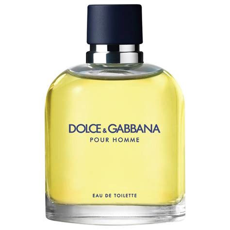 dolce gabbana perfume home